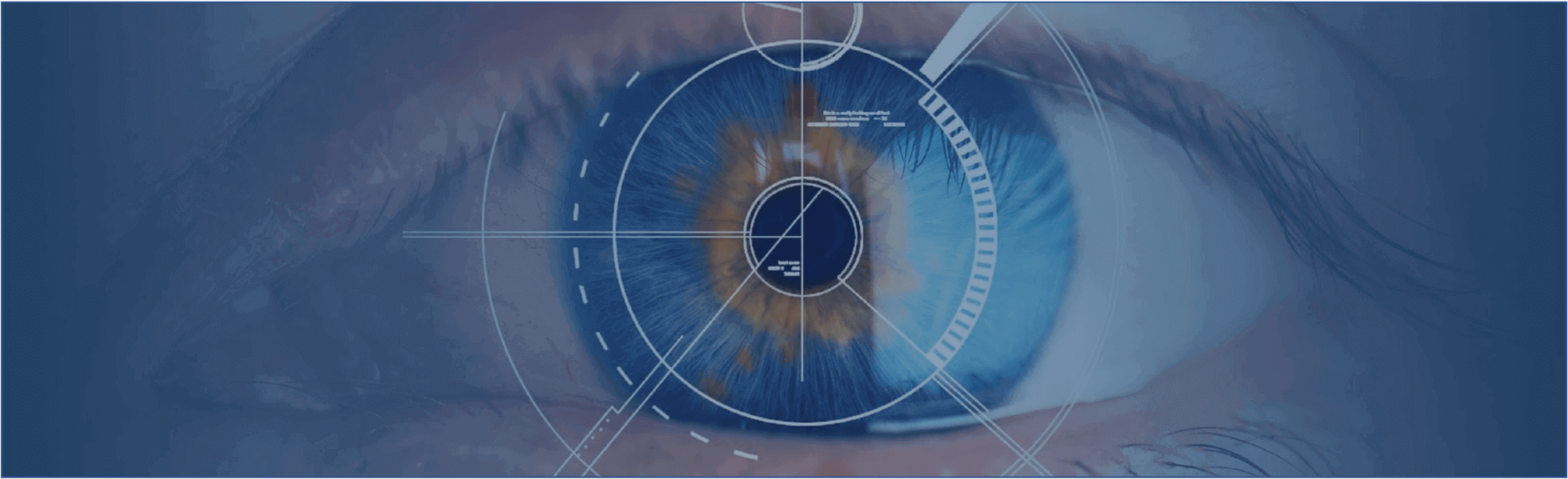 Top 5 Methods for Biometric Identity Verification in 2023